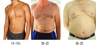 skinny guy s guide to body fat percene