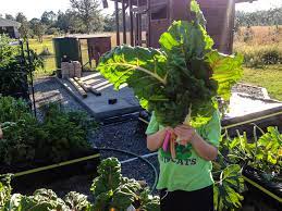 Growing Asian Vegetables