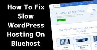 fix slow wordpress hosting on bluehost