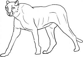 Pantera negra cougar youtube, pantera negra, mamífero, personagens fictícios, gato como. Desenho De Pantera Caminhando Para Colorir E Imprimir