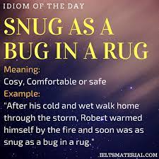 snug as a bug in a rug idiom of the