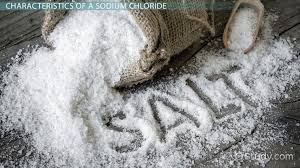 chemical name of ordinary table salt