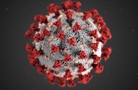Coronavirus Update: N.H. Reports 500th COVID Death, 358 New Cases | New  Hampshire Public Radio