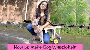 how to make dog wheelchair step by step
