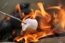 It can also serve as a beacon, and an insect and predator deterrent. Marshmallow On A Stick Being Roasted Over A Camping Fire Stock Photo Picture And Royalty Free Image Image 755161