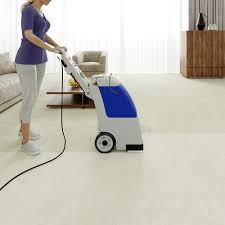 carpet cleaner in the carpet cleaners