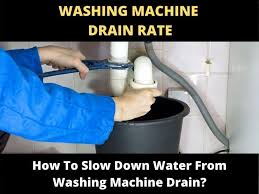 water from washing machine drain