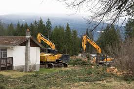 Cost of site preparation and land clearing summary: Snapshot Clearing Space Sicamous Eagle Valley News