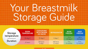 Store Breastmilk Safely Your Guide To Tips And Tricks