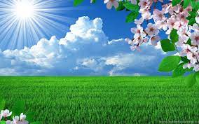 Beautiful Nature Spring Hd Background ...