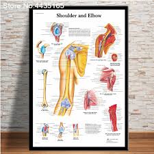 Spinal Column Chart Poster Human Anatomy Knee Joint Foot Posters And Prints Canvas Painting Hd Wall Art For Room Home Decoration