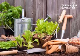 Backyard Vegetable Garden