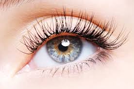 Image result for Eye Care
