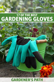 17 of the best gardening gloves in 2023