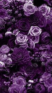 Ian gillan `deep purple` legendary rock group live concert in the city of kazan. Pin By Carol Peacock On Pins For We Heart It Purple Flowers Wallpaper Purple Flowers Purple Roses