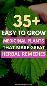 35 Easy To Grow Medicinal Plants To Make Your Own Herbal