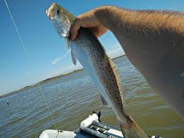 Bastrop Bayou 2coolfishing