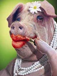 lipstick on a pig mively overpowered