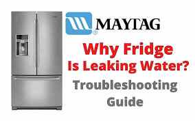 why may fridge is leaking water