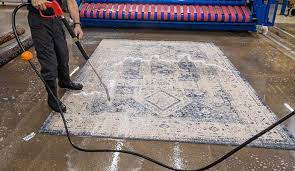 rug cleaning process in edmonton