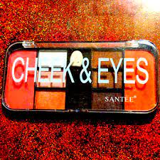 santee cheek and eyes makeup palette ebay