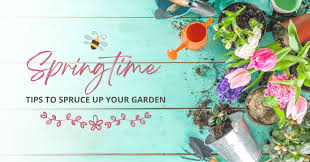 Springtime Tips To Spruce Up Your