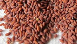 Health Benefits Of Garden Cress Seeds