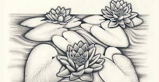 Dari video, kata kata, sampai kumpulan foto lucu. Fantastis 30 Sketsa Bunga Anggrek Mudah 15 Gambar Sketsa Bunga Dari Pensil Yang Mudah Dibuat Gambar Sketsa Bunga Indah Mul Lukisan Bunga Bunga Teratai Bunga