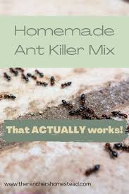 homemade ant mix that actually