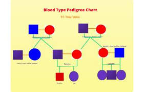 blood types by paige lawton