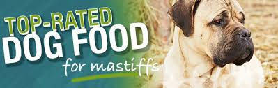 Best Dog Food For A Mastiff Puppies Adults Senior Dogs