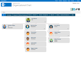 Organizational Chart Pricing Cost Reviews Capterra