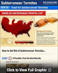 subterranean termite treatment guide