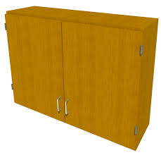 Fisherbrand Wood Wall Cabinet 42 In