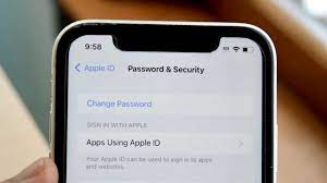 how to change apple id pword you