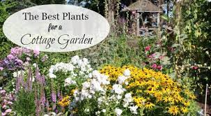 A List Of Cottage Garden Plants The