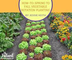 Fall Vegetable Rotation Planting