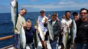 Yes, there are distractions, but remember, the fishing is good. Tuna Update Yellowfin Surges Jumbo Sized Bluefin Biting Fishrapnews