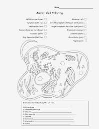 Plant cell coloring from animal cell coloring worksheet, source:biologycorner.com. Cell Membrane Coloring Worksheet Finished Printable Worksheets And Activities For Teachers Parents Tutors And Homeschool Families