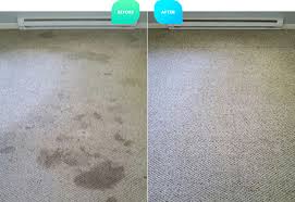 office carpet cleaning shooing