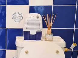 6 best bathroom dehumidifiers and one