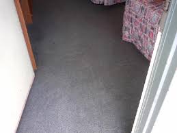 true clean carpets and janitorial services