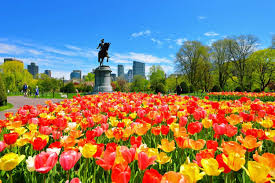 top 25 boston attractions things to