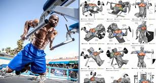10 best chest exercises for building