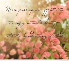 Life Beautiful Flowers Quotes ...