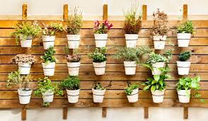 Suporte vertical de parede para plantas , já vernizado com capacidade pra 8 vasos de planta. Suporte Para Plantas Como Fazer 53 Suportes Para Pendurar Vasos