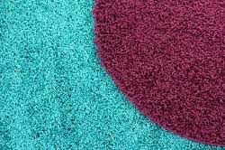richmond carpet cleaning rug cleaning tw9
