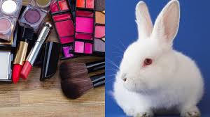 ban cosmetics testing on s