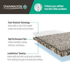 stainmaster petprotect 7l93300114