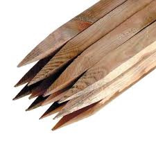 Lenehans Ie Your Garden Wooden Stake